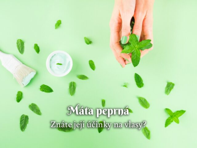 Máta na vlasy